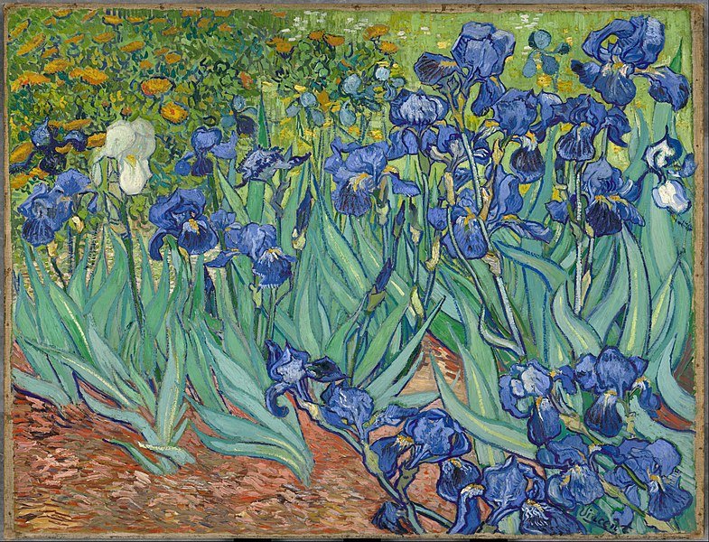 https://www.artst.org/wp-content/uploads/2021/06/Irises-vincent-van-gogh.jpg